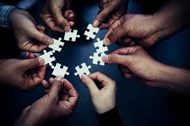 Capacity Building